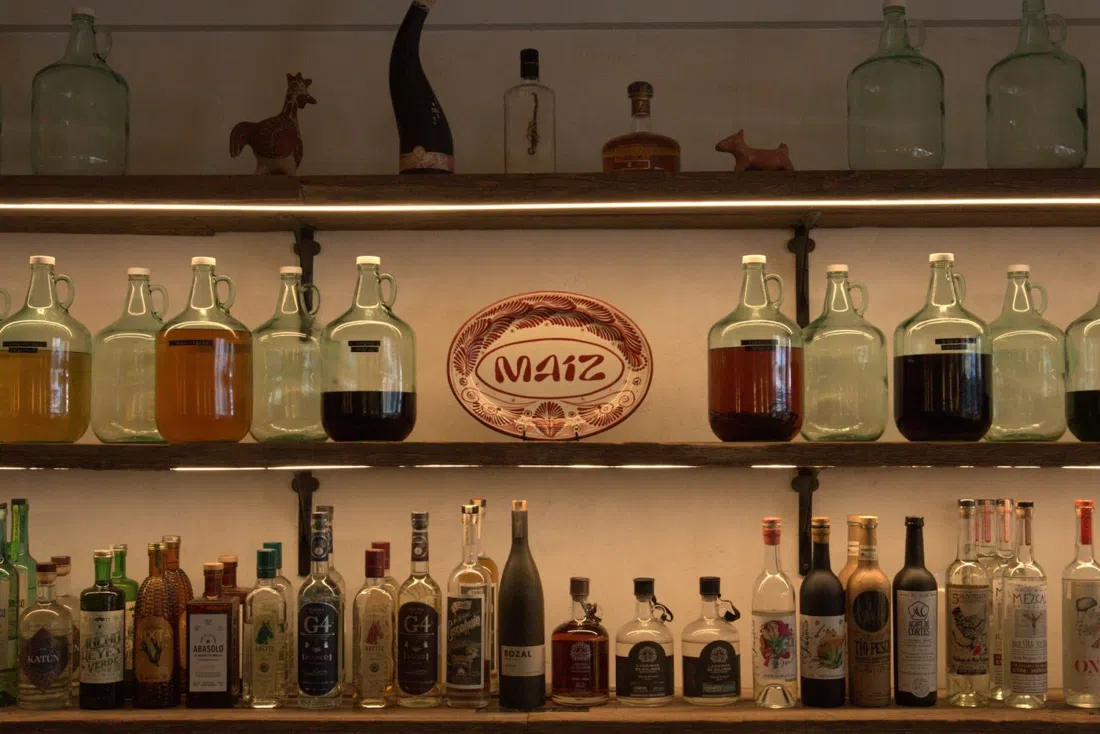 Maiz, Sydney