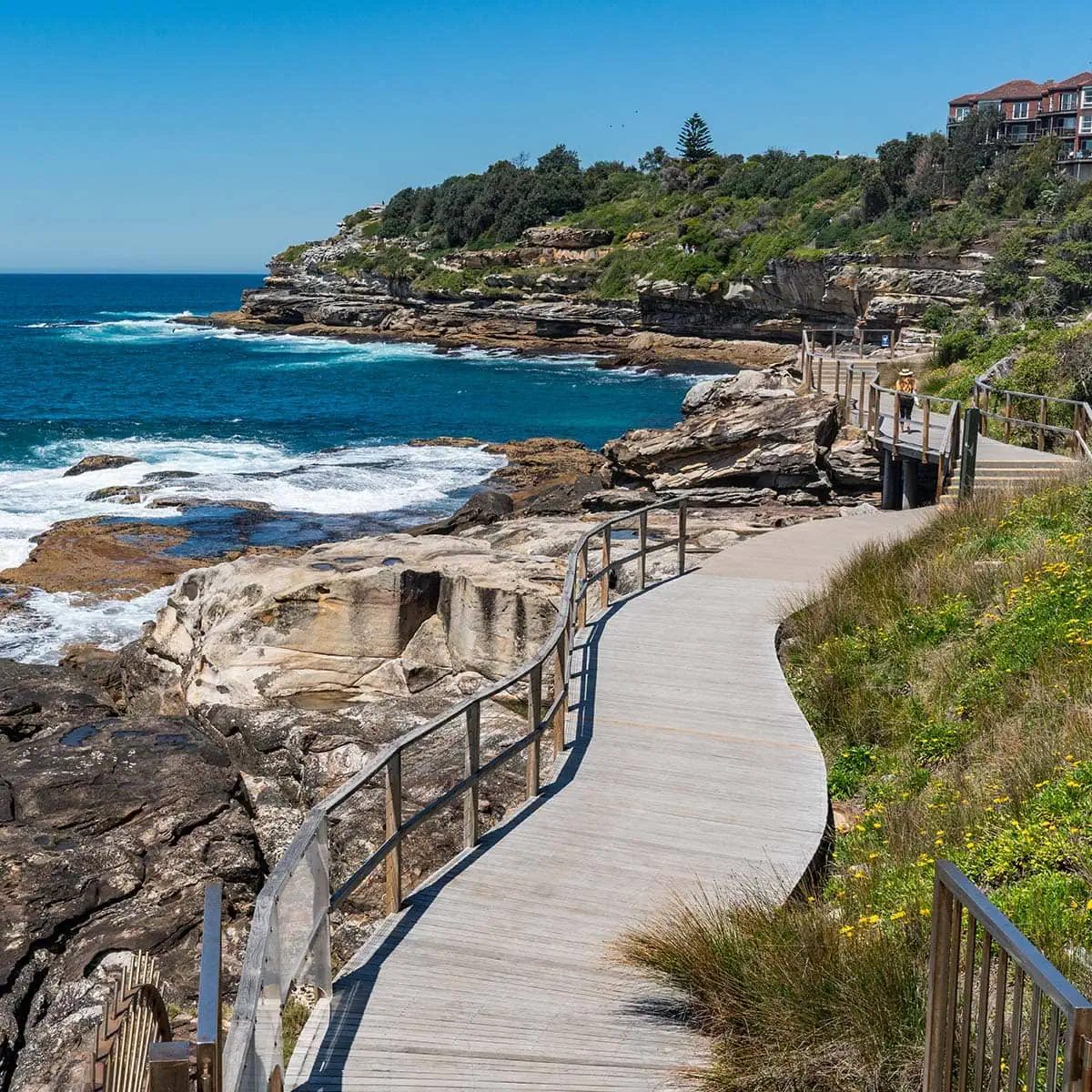 walkers on the clifftop Bondi to Coogee coastal walk near Waverley Cemetery