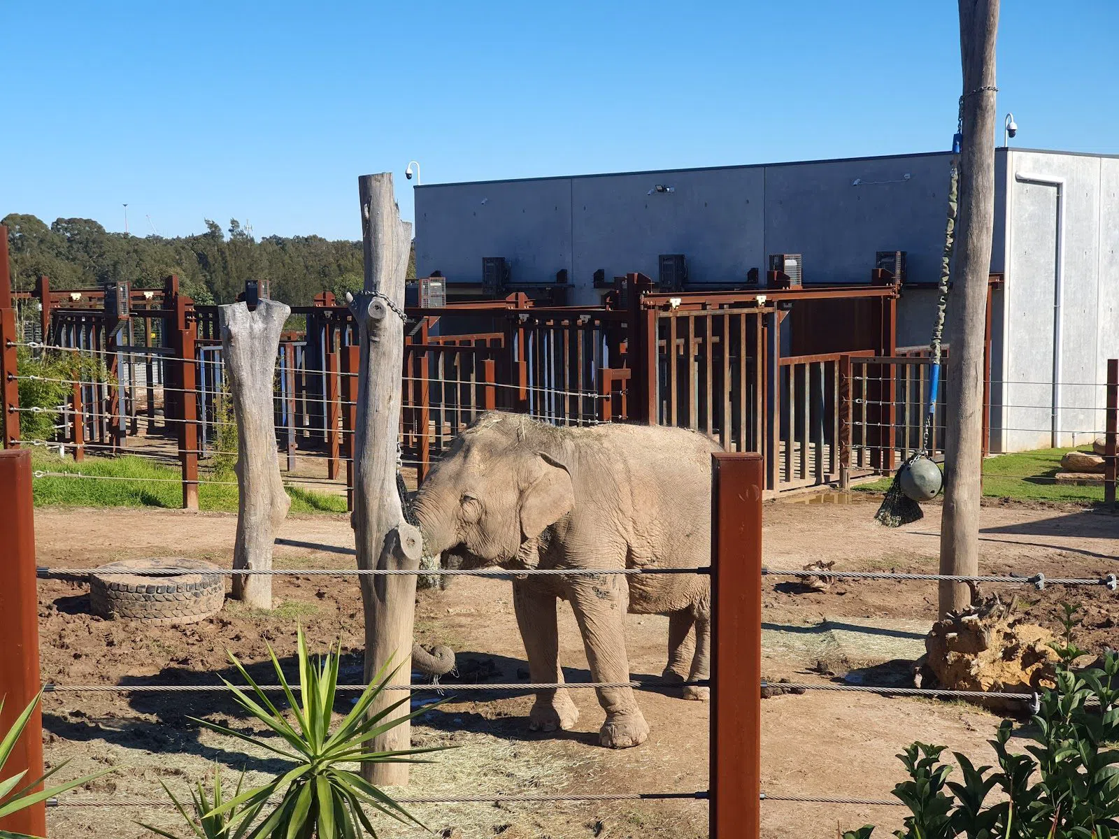 Sydney Zoo, Sydney